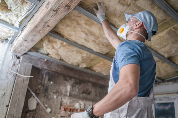 Best Commercial Insulation Services  in Belmont Estates, VA