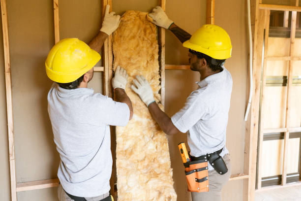 Best Basement Insulation  in Belmont Estates, VA