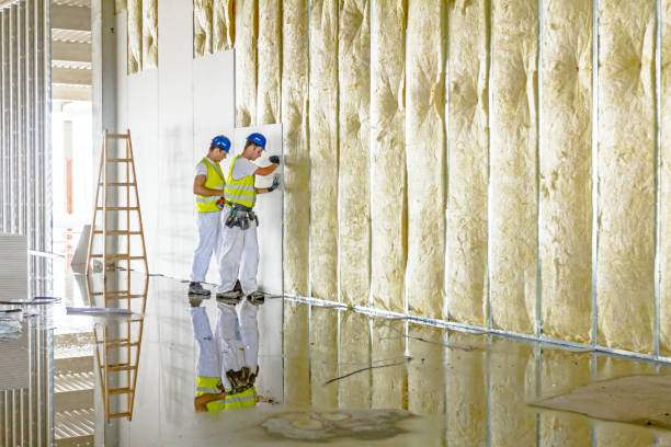 Best Insulation for Existing Homes  in Belmont Estates, VA